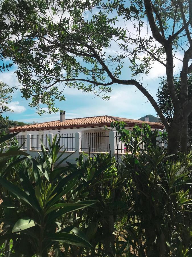 La Casa Dell Olivo Villa Castiadas Buitenkant foto